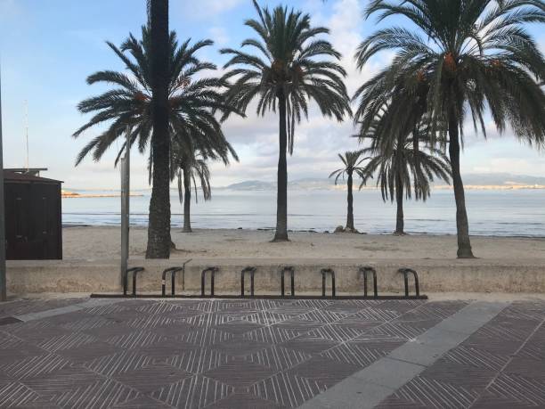istock This is Palma de Mallorca city. Spain 1277010533