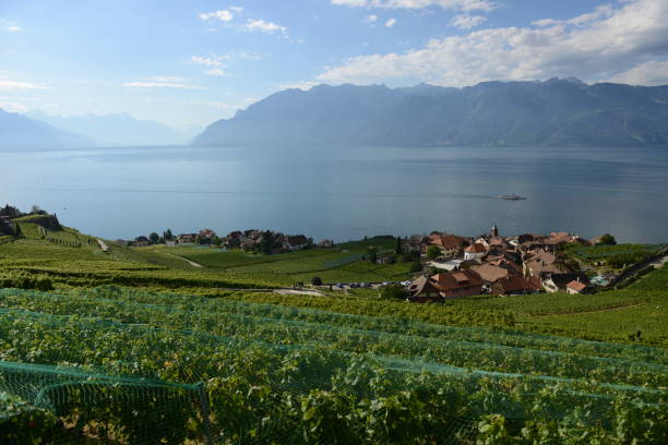 istock Rivaz in the Lavaux-Oron 1277010691