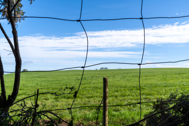 Wire fence, beyond which is a field of green pasture Wire boundary fence, beyond which is a field of green pasture, a coppice of woodland, horizon and sky. Holwood Hills, County Down, Northern Ireland. wood and wire fence designs pictures stock pictures, royalty-free photos & images
