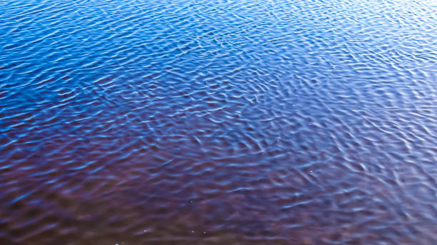 istock Detailed close up view on water surfaces with ripples and waves and the sunlight reflecting at the surface 1277013365