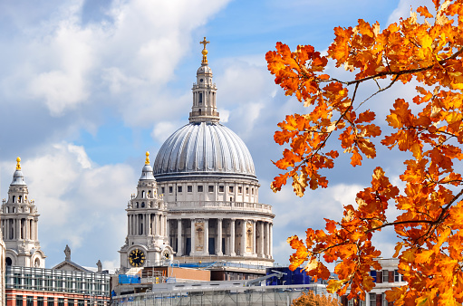 Dome of St. Paul's cathedral in autumn, London, UK