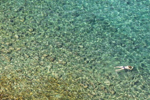 swimming woman top down in mediterranean sea stock photo