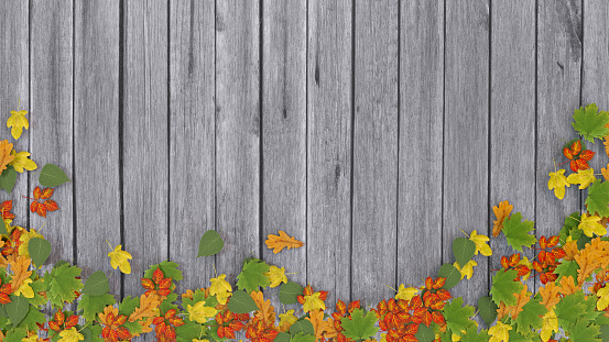 Autumn background