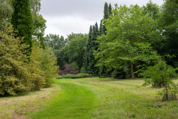 istock Westonbirt arboretum 1277020503