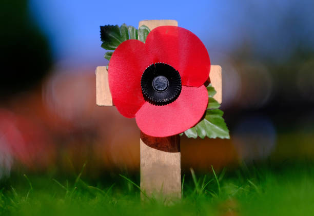 Poppy appeal symbol. Red puppy flower placed on the small wooden cross in the green grass. stock photo