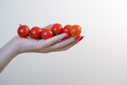 Tomato in manicured hands. Woman holding tomato. Healthy food concept.