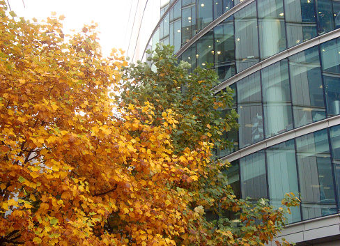 Facade of corporate buildings in More London Riverside, London, UK.