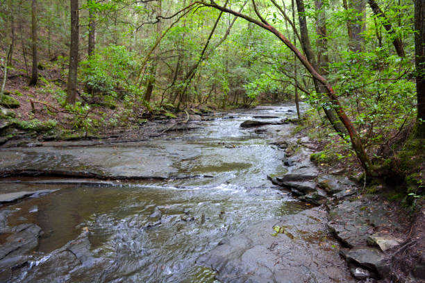 istock Stone Bottomed Creek 1277031297