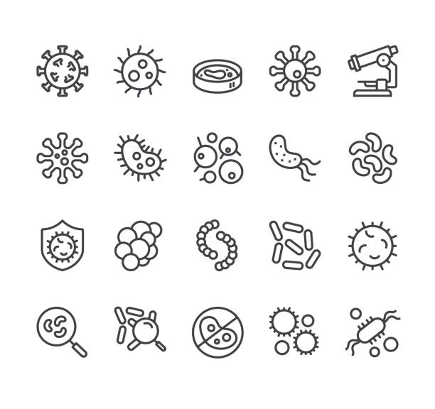 ilustrações de stock, clip art, desenhos animados e ícones de bacteria virus germ biology concept. simple line icon isolated set - mold