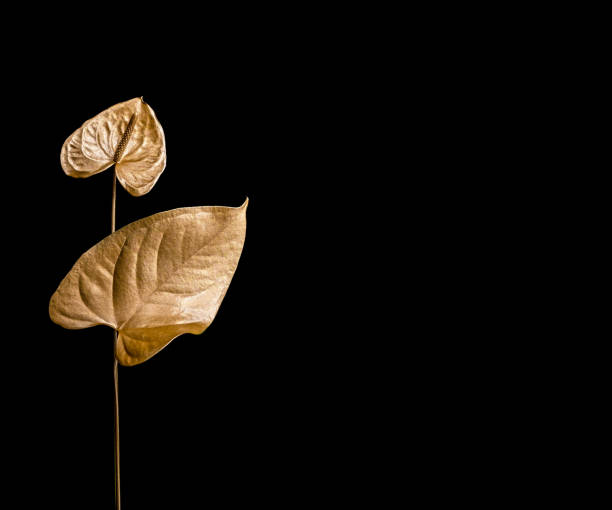 istock Golden palm leaf and golden flower. 1277033198