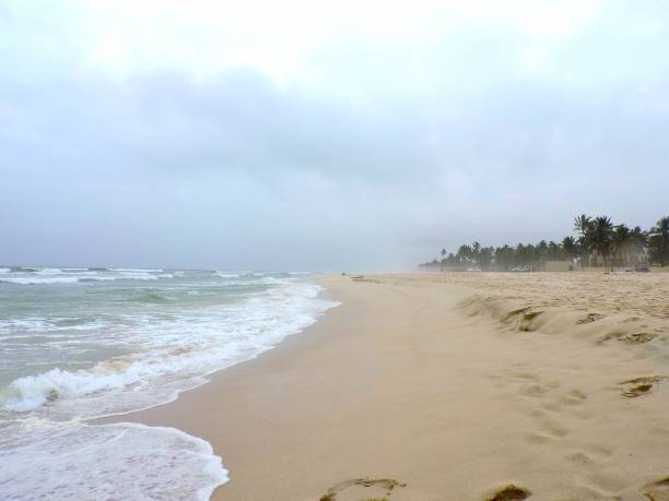 istock Waves at beach near Salalah, Oman 1277034040