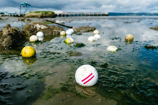 Discarded tennis balls on a beach in Puget Sound in United States, Washington, Mukilteo