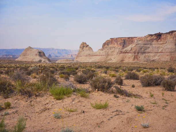 istock Rock formations in a bare arid desert landscape Amangiri resort. 1277037322