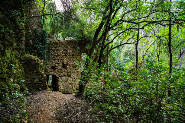 Ancient ruins in the forest hidden among trees and vegetation in Córdoba, AL, Spain