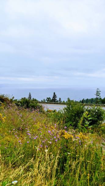 istock Lake Superior Belvedere (ph4) 1277037534