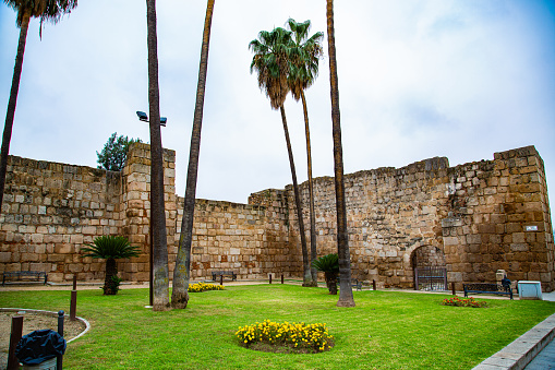 Lawn park with palm trees and old defensive wall in Mérida, EX, Spain