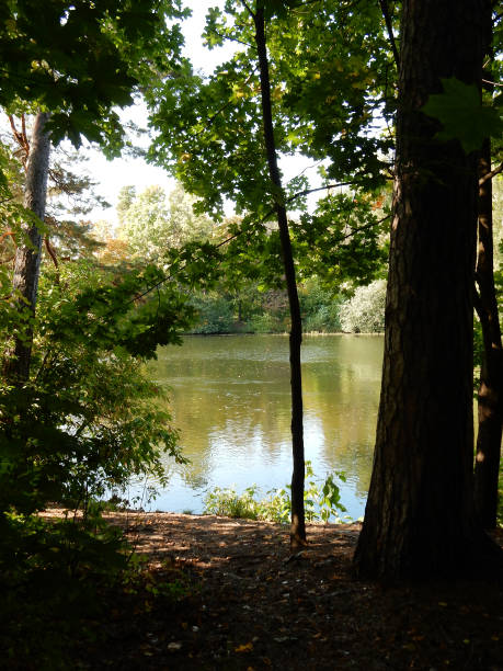 istock early autumn on the lake 1277041360