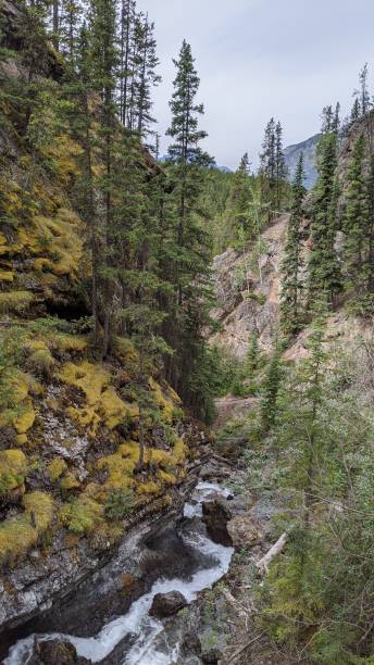 istock Banff National Park Landscape (ph13) 1277041906