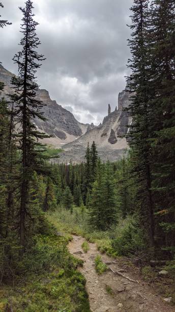 istock Banff National Park Trail (ph12) 1277041938