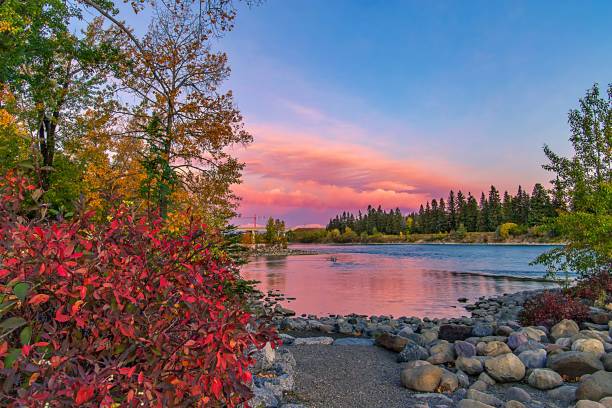 istock Colorful Fall Sunrise Over The Bow River 1277043555