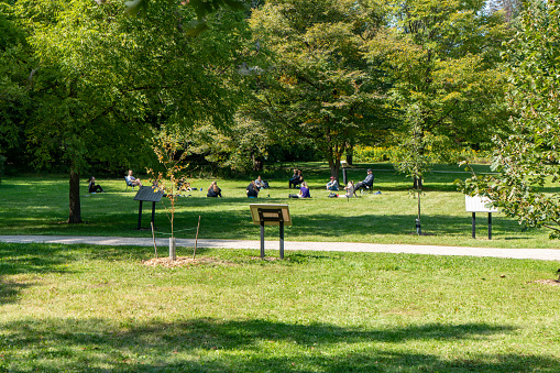 University of Guelph Students are sitting on lawn in taking class at The Arboretum, Guelph, Canada.