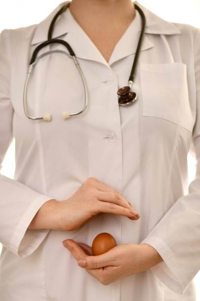 白いローブを身にまとった医師は、片方の手のひらに鶏の卵を殻に入れ、もう一方の手は上に保護する。 - palm people white brown ストックフォトと画像