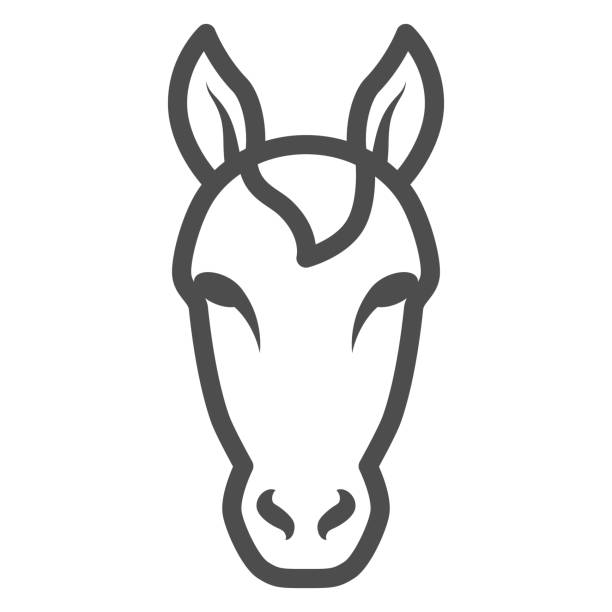 bildbanksillustrationer, clip art samt tecknat material och ikoner med hästhuvudlinje ikon, farm djur koncept, hingst symbol på vit bakgrund, häst huvud silhuett ikon i disposition stil för mobil koncept och webbdesign. vektorgrafik. - horse net