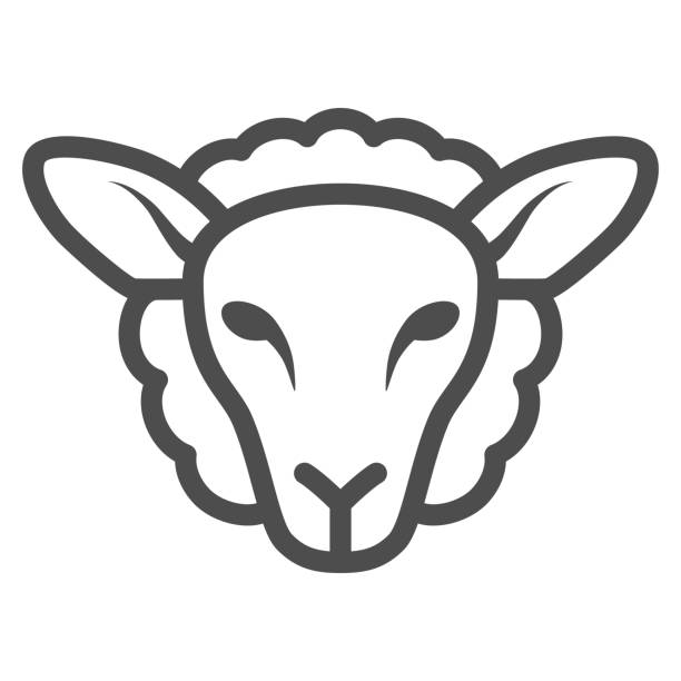 овцы голову линии значок, ферма животных концепции, ягненка знак на белом фоне, силуэт овец лицо значок в стиле контура для мобильной концеп - sheep stock illustrations