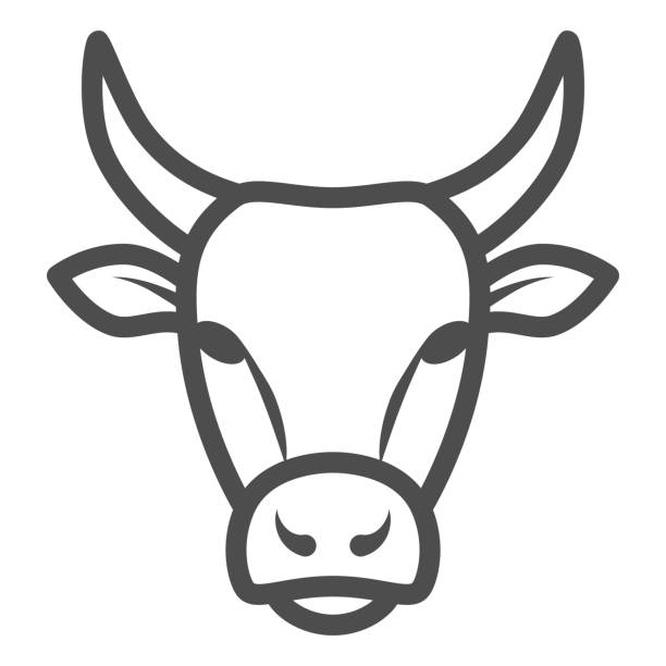 ilustrações, clipart, desenhos animados e ícones de ícone da linha bull head, conceito de animais de fazenda, placa de gado no fundo branco, ícone de silhueta bull head em estilo de contorno para conceito móvel e web design. gráficos vetoriais. - fêmea de mamífero
