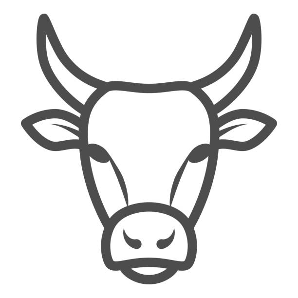 Bull Head line icon, Farm animals concept, cattle sign on white background, Bull Head silhouette icon in outline style for mobile concept and web design. Vector graphics. Bull Head line icon, Farm animals concept, cattle sign on white background, Bull Head silhouette icon in outline style for mobile concept and web design. Vector graphics bull animal stock illustrations