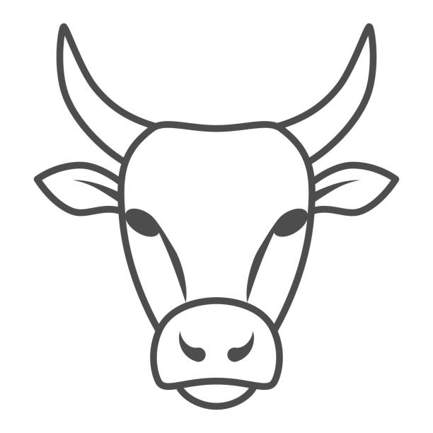 бычья голова тонкая линия значок, ферма животных концепции, крупного рогатого скота знак на белом фоне, bull head силуэт значок в стиле контура � - mammals stock illustrations