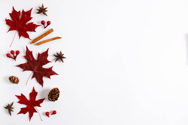 istock Maple leaves in red color on white background 1277059438