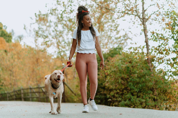 Black woman walking the dog stock photo