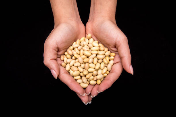 istock woman's hands with yellow bean grains on black background 1277064403