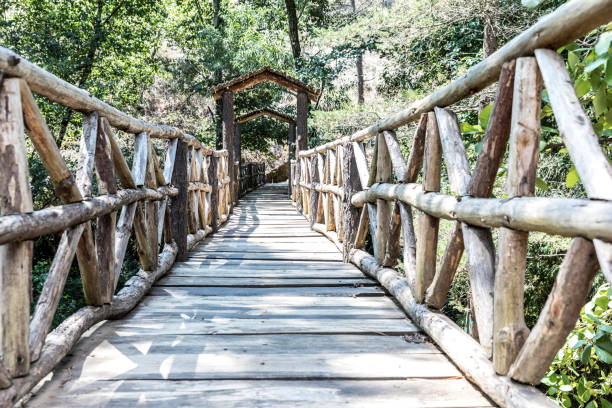 istock Beautiful green forest in Mazmitla 1277065094