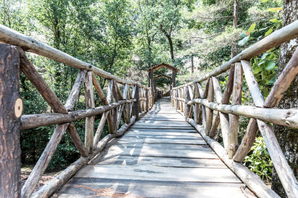 istock Beautiful green forest in Mazmitla 1277065098