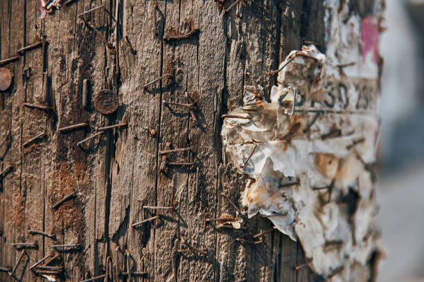 primo primo del palo del telefono con graffette arruggini sugli annunci cartacei - rusty textured textured effect staple foto e immagini stock