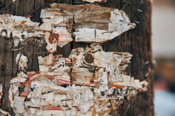 primo primo passo di graffette arruggini e scarti di carta su palo del telefono in legno - rusty textured textured effect staple foto e immagini stock
