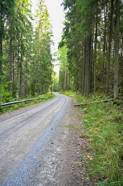 istock gravel road with railing trough Swedish forest 1277068676