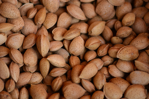 Close shot of hazelnuts.