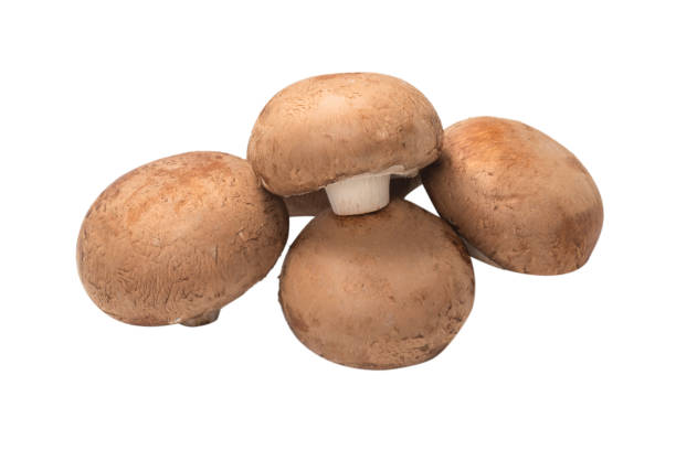 istock Tasty mushroom isolated on white background. 1277075993