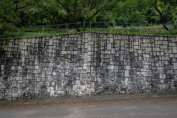 istock Weeds and wildflower growing in ancient wall 1277077407