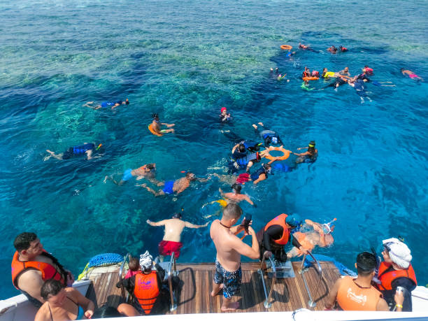 un grupo de turistas nada en el mar rojo cerca de barcos de recreo en sharm el sheikh, egipto - wreck recreational boat nature mode of transport fotografías e imágenes de stock