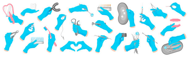 векторный мультяшный набор рук стоматолога в синих перчатках, которые держат стоматологические инструменты на белом фоне. - hand in latex glove stock illustrations