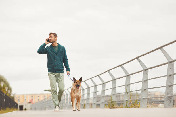 Man with dog walking in the city