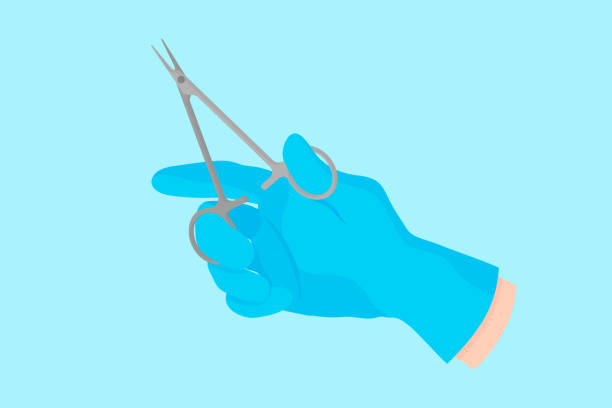 Vector cartoon hand of a dentist in a blue glove that hold a dental instrument: endodontic forceps for dental procedures Vector cartoon hand of a dentist in a blue glove that hold a dental instrument: endodontic forceps for dental procedures. Dental concept. forceps stock illustrations