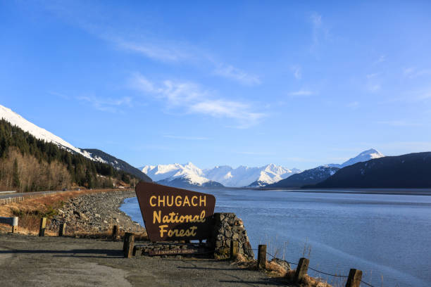 istock Turnagain Arm from Girdwood 1277084502