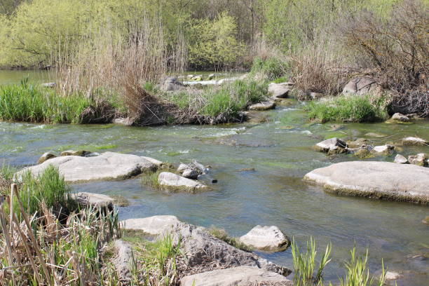istock River with large granite stones. Steppe. Nature 1277084690