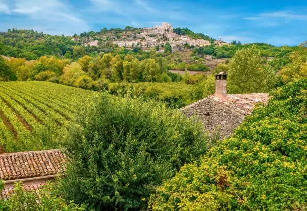 A beautiful valley with quaint Provencal stone buildings with tiled roofs set among trees and a vineyard, with a blue sky and the village of Lacoste on a hill in the background.
