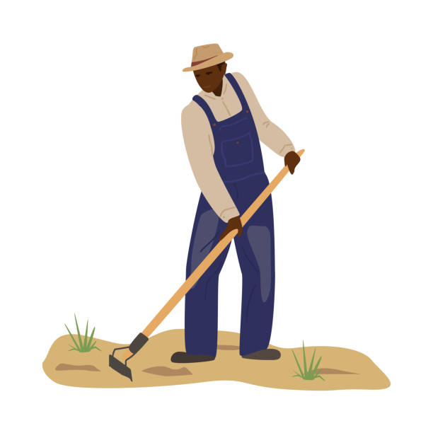 African man in coverall African man in coverall and straw hat working in field with hoe. Black man plowing. Hard manual labor. Farmer character. Traditional agriculture. Flat vector illustration. farmer stock illustrations